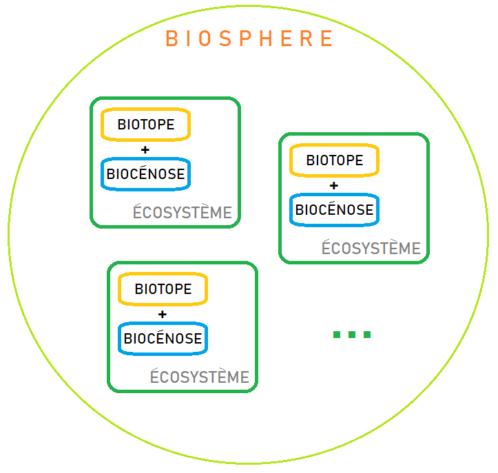 Biosphère